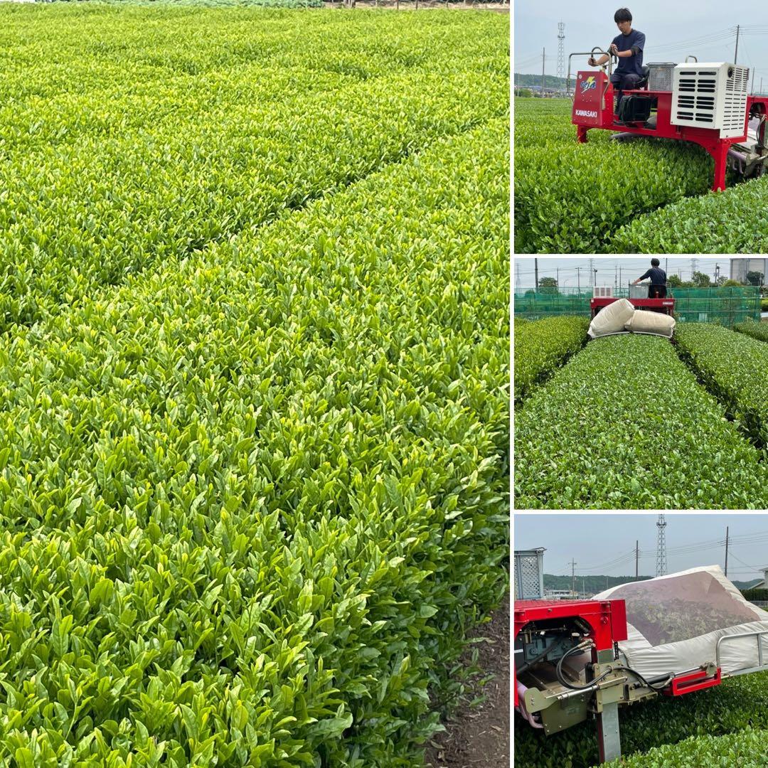 【専用】茶畑直販☆煎茶+上煎茶+上ほうじ茶☆令7年産☆一番茶☆深蒸し緑茶日本茶