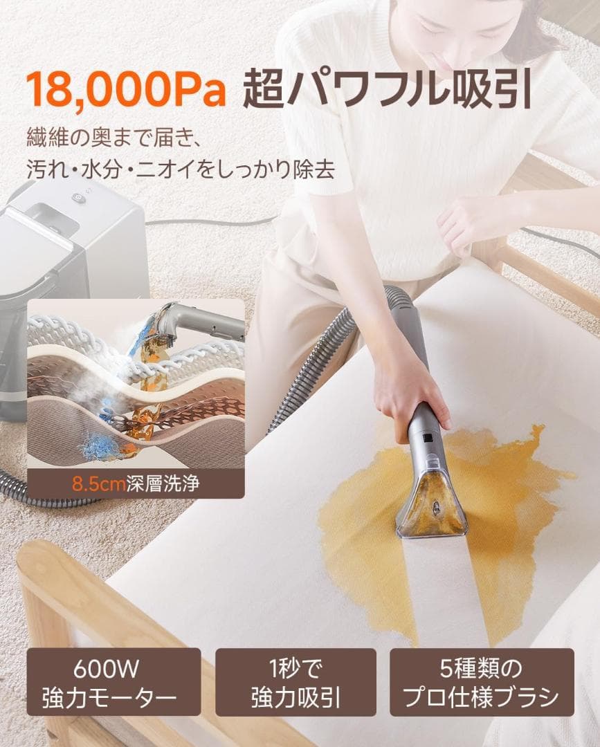 リンサークリーナー スチームクリーナー 100℃蒸気 ブラシ5種 専用洗浄液付き
