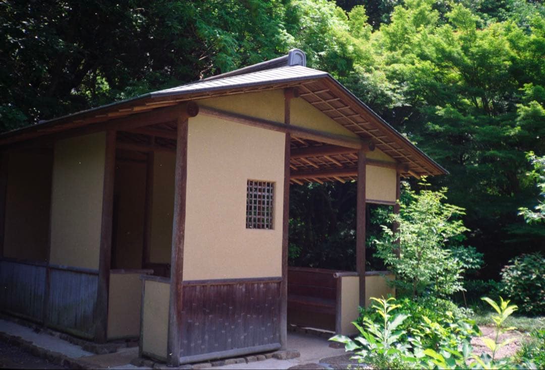 KONICA C35 flashmatic 整備、テスト撮影済み　271132