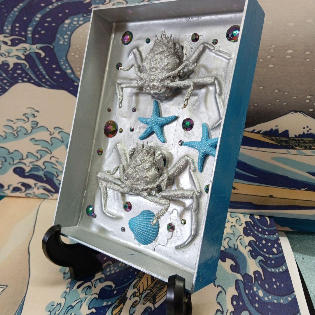 平家怨霊人面蟹稀少レア平家蟹鬼面蟹ペア二点凹凸リアル立体標本飾り置物コレクション