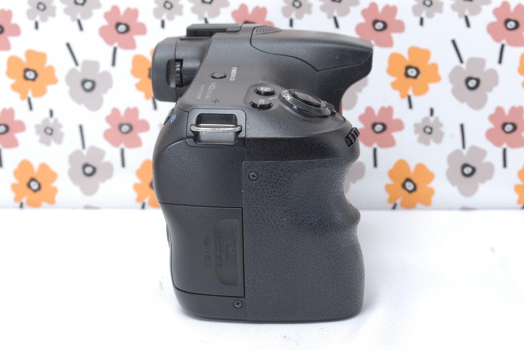 ❤即購入1000円OFF❤SONY α65❤超望遠トリプルレンズ❤超高画質❤