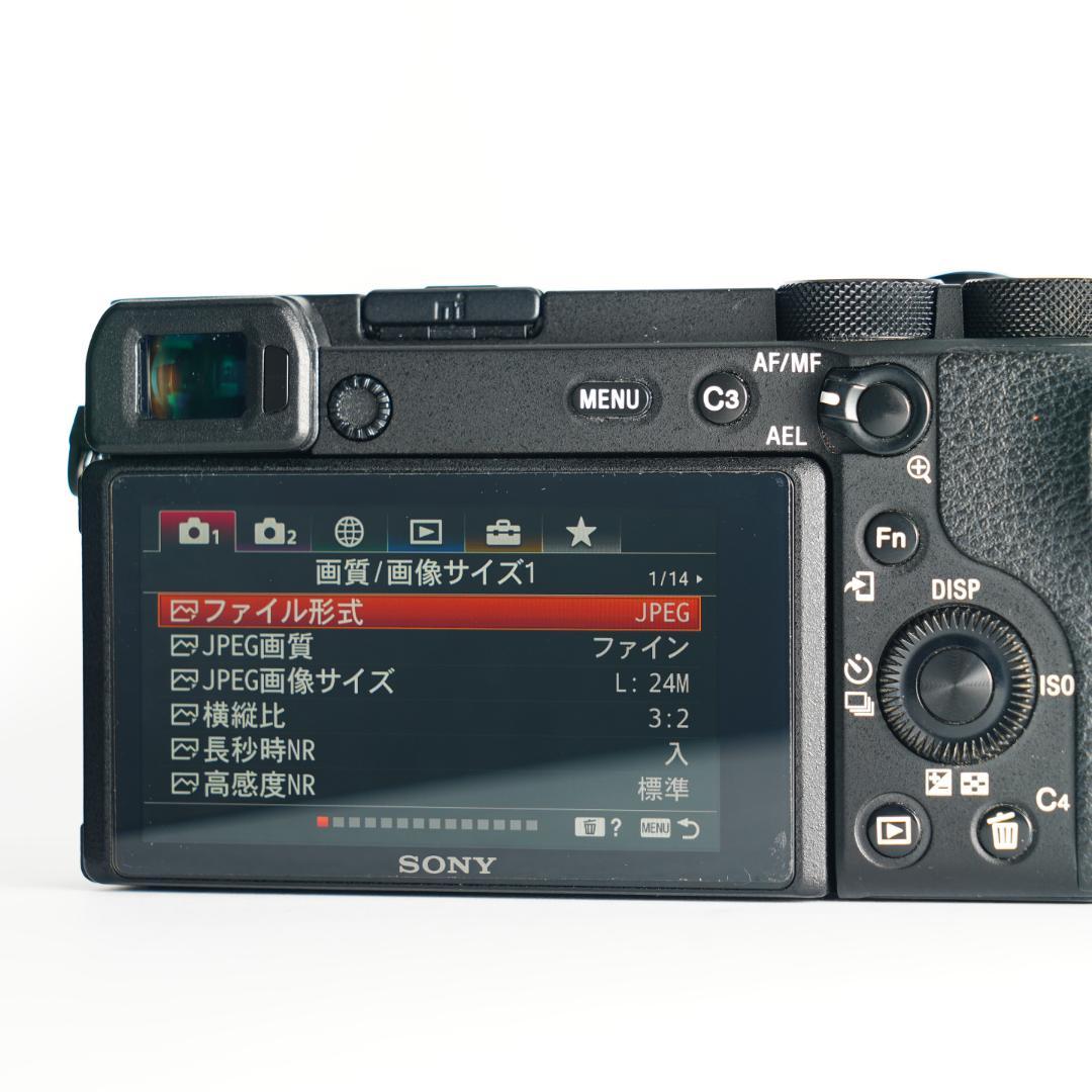 α6400より2倍長持ち&ブレない SONY α6600 ミラーレス