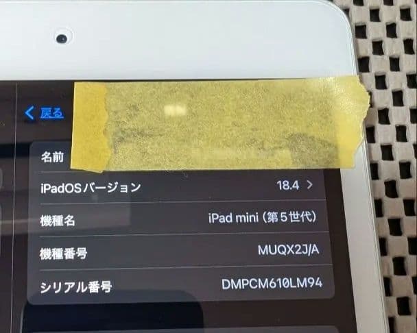 iPad Mini 第5世代　本体+箱