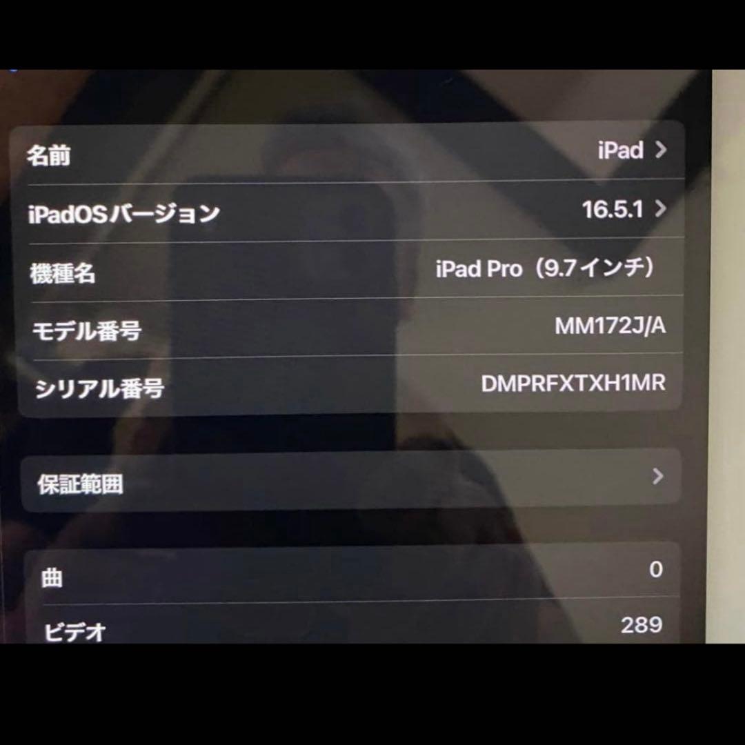 iPad Pro 本体