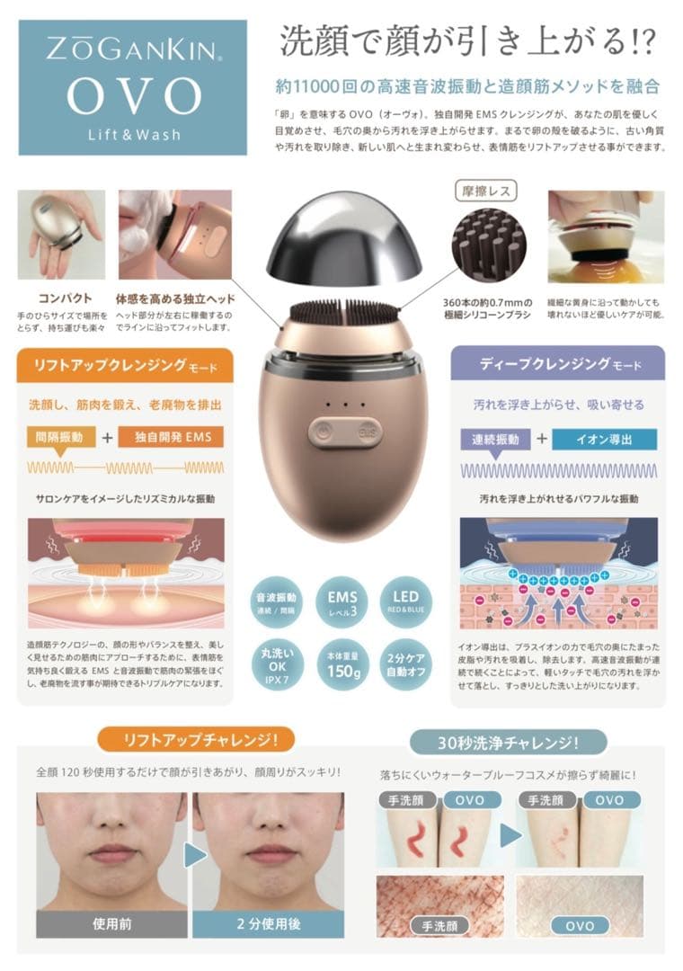 ZOGANKIN OVO ゾーガンキンオーヴォ