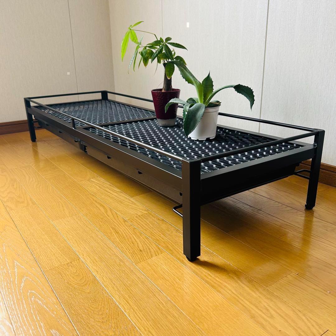 年始セール　植物棚　シェルフ　アガペラック 124cm x 41cm