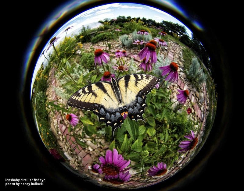 15236E 新品 未使用 レンズベビー 5.8mm F3.5 LENSBABY