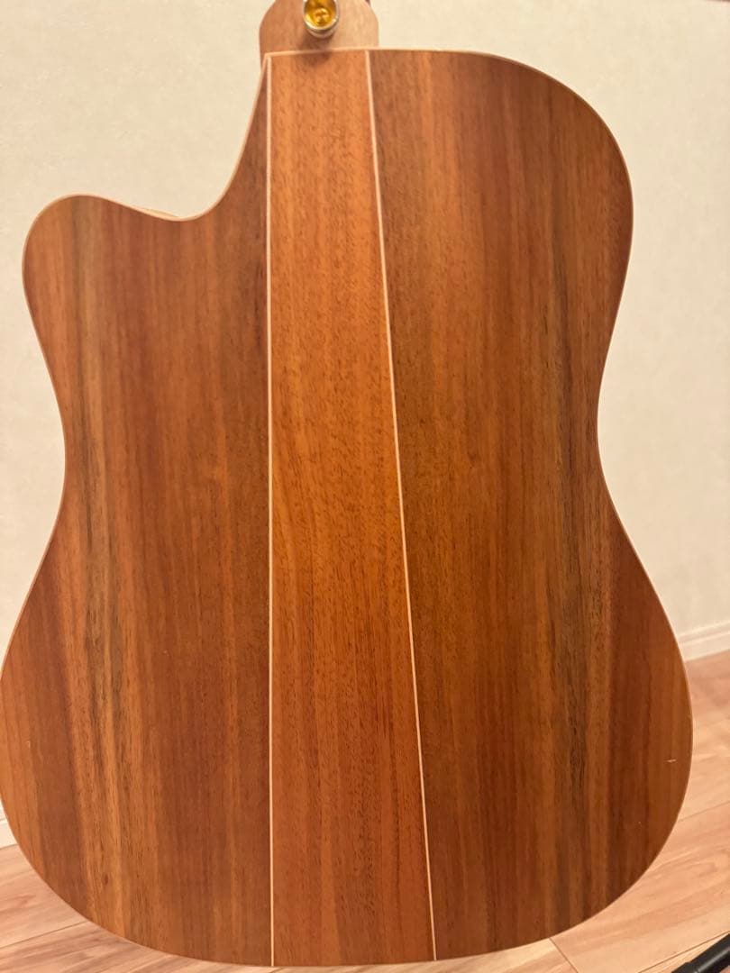 【Cole Clark】アコースティックギター FL2EC-BB