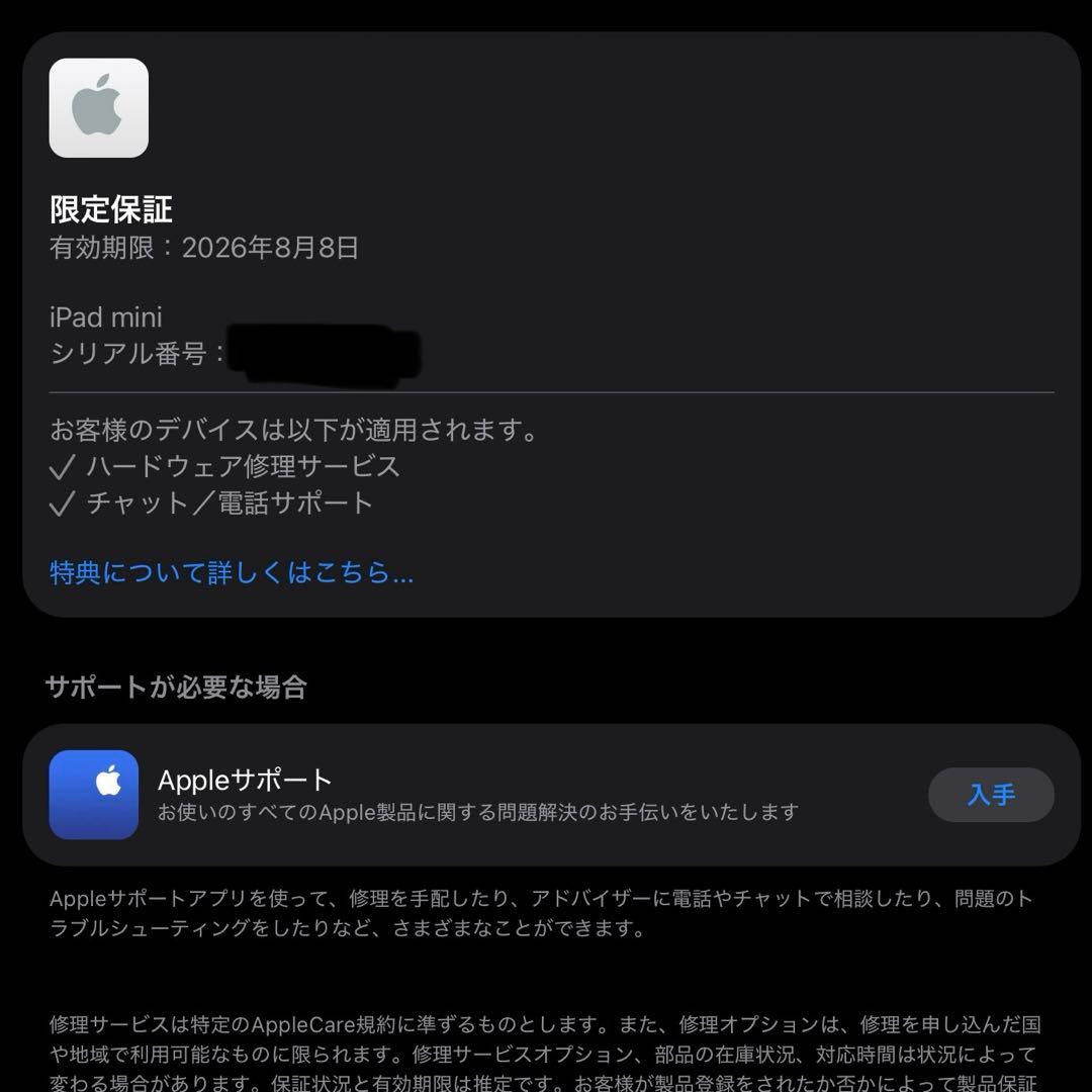 【ほぼ未使用】iPad mini 7 (A17 Pro） 256GB Wi-Fi