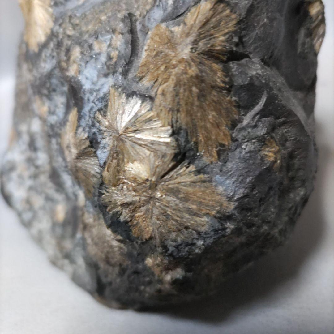 菊花石　置物