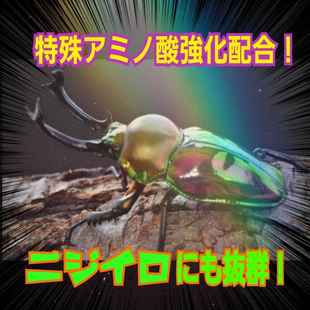 極上！オオヒラタケ菌糸瓶【8本】特殊アミノ酸強化！オオクワ、ヒラタ、ニジイロに！