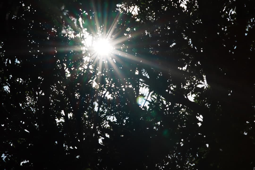 【極美品】動作◎ ニコン Ai-s Nikkor 85mm F1.4 257