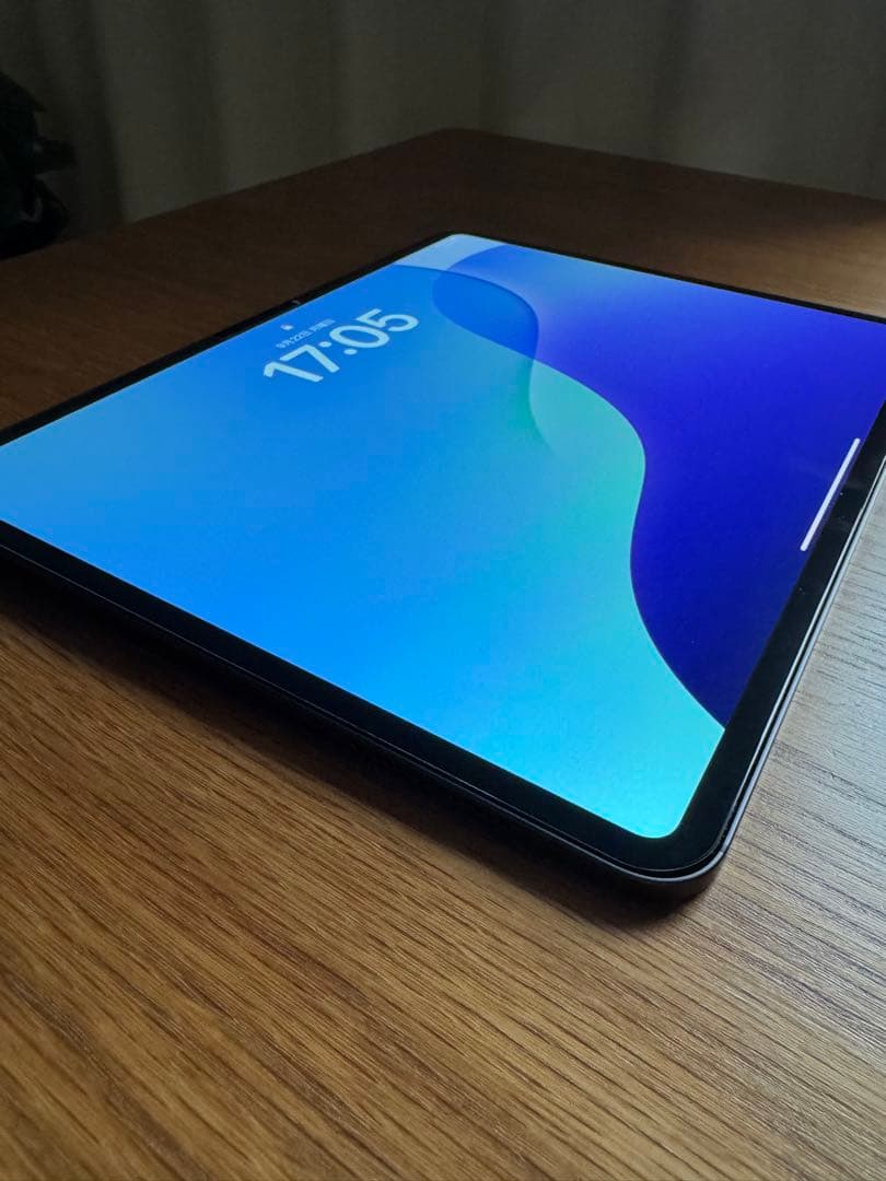 【3点セット美品】iPad Pro13インチ256GB Wi-Fiモデル