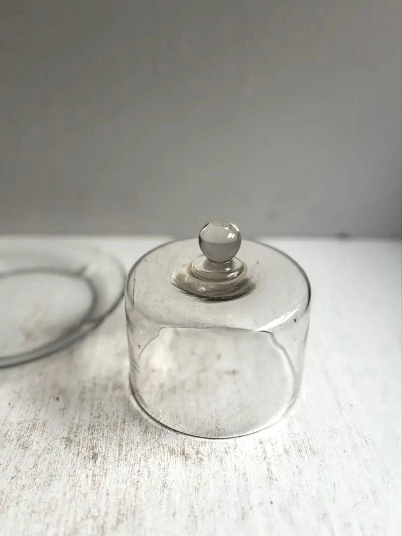 678 フランスアンティーク 古いチーズドーム ガラスドーム 蚤の市購入 パリ