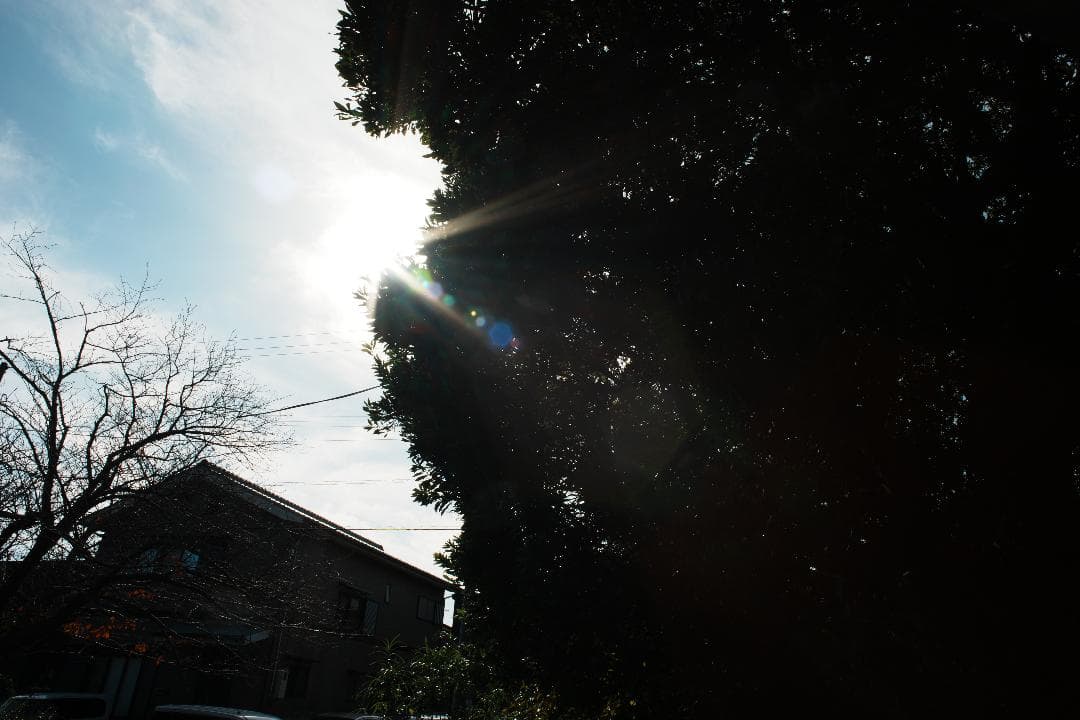 【整備＆テスト済】Canon New FD 24mm F2.8 711