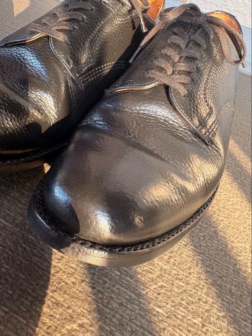 靴 Sanders Wild Life Tailor UK7.5