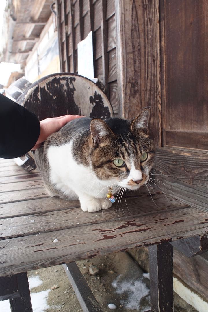 OLYMPUS PEN E-PL2 ボディのみ｜付属品あり｜動作良好