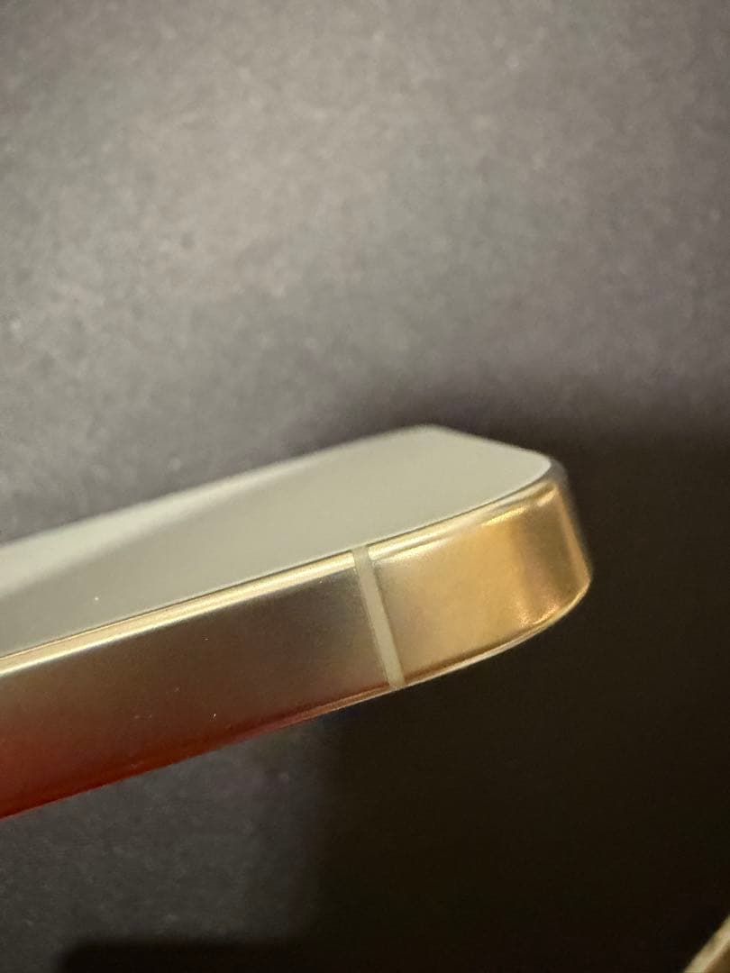 Apple iPhone 16 Pro シルバー 本体　箱は17pro