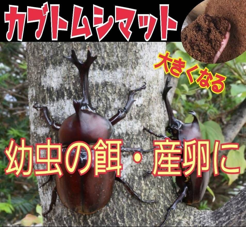 カブトムシ幼虫に抜群！ヒマラヤひらたけ発酵マット【6袋セット】大きく育ちます！