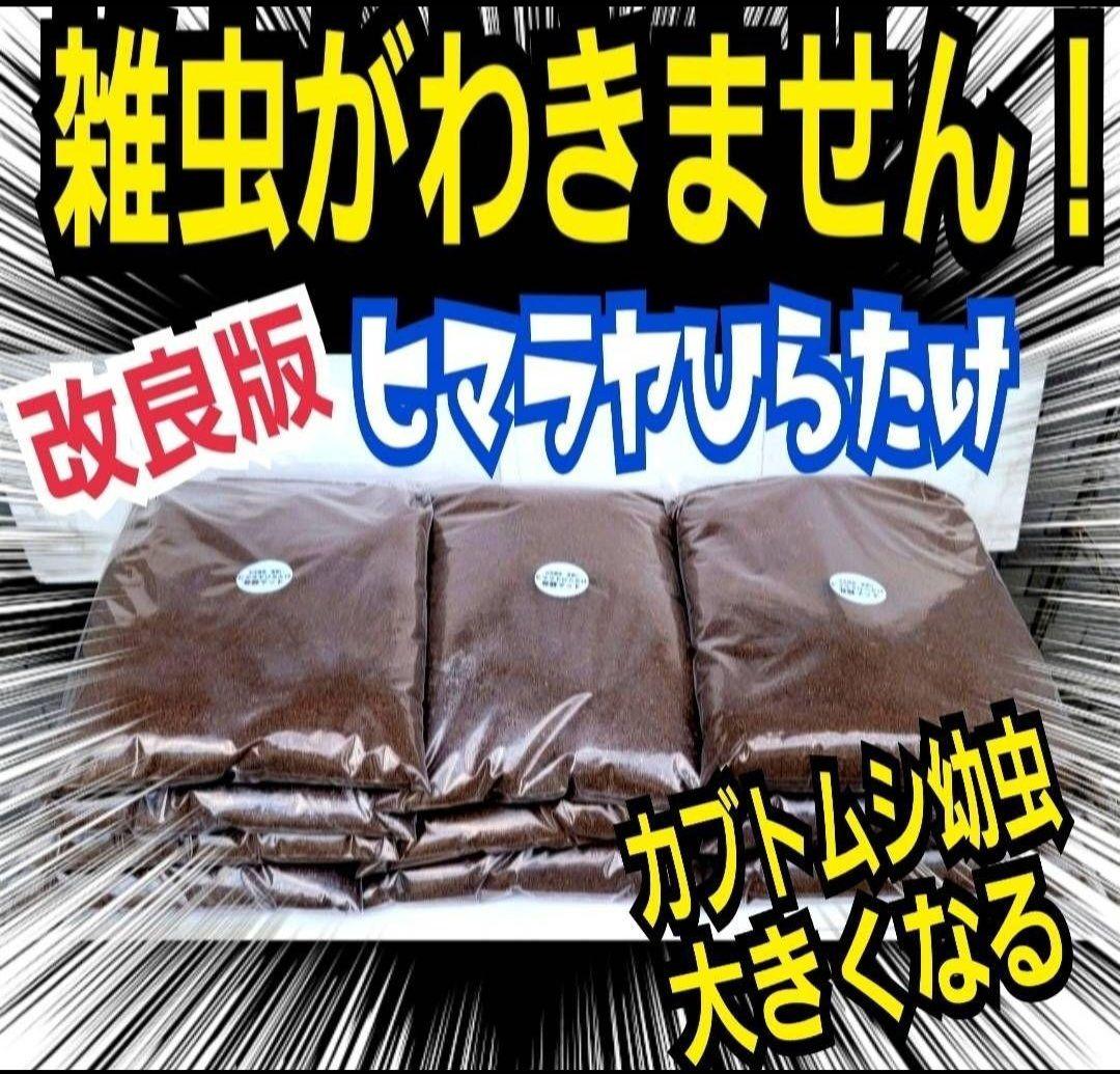 カブトムシ幼虫に抜群！ヒマラヤひらたけ発酵マット【6袋セット】大きく育ちます！