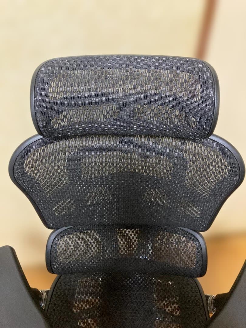 Ergohuman PRO2 High エルゴヒューマン プロ２