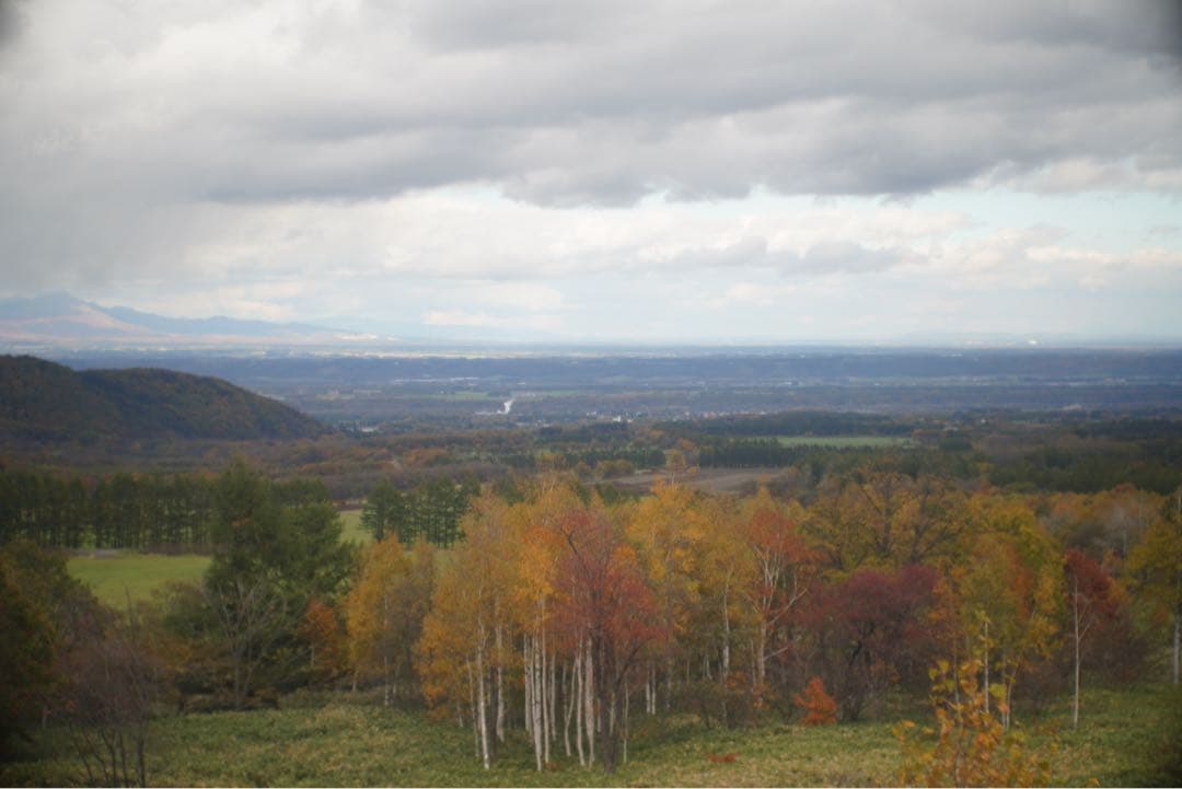 Leica Leitz Hektor 73mm F1.9 L39マウント