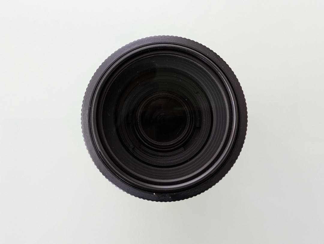 Nikon D60 　ダブルズーム（ボディはバッタ相応価格+レンズ2本の価格）