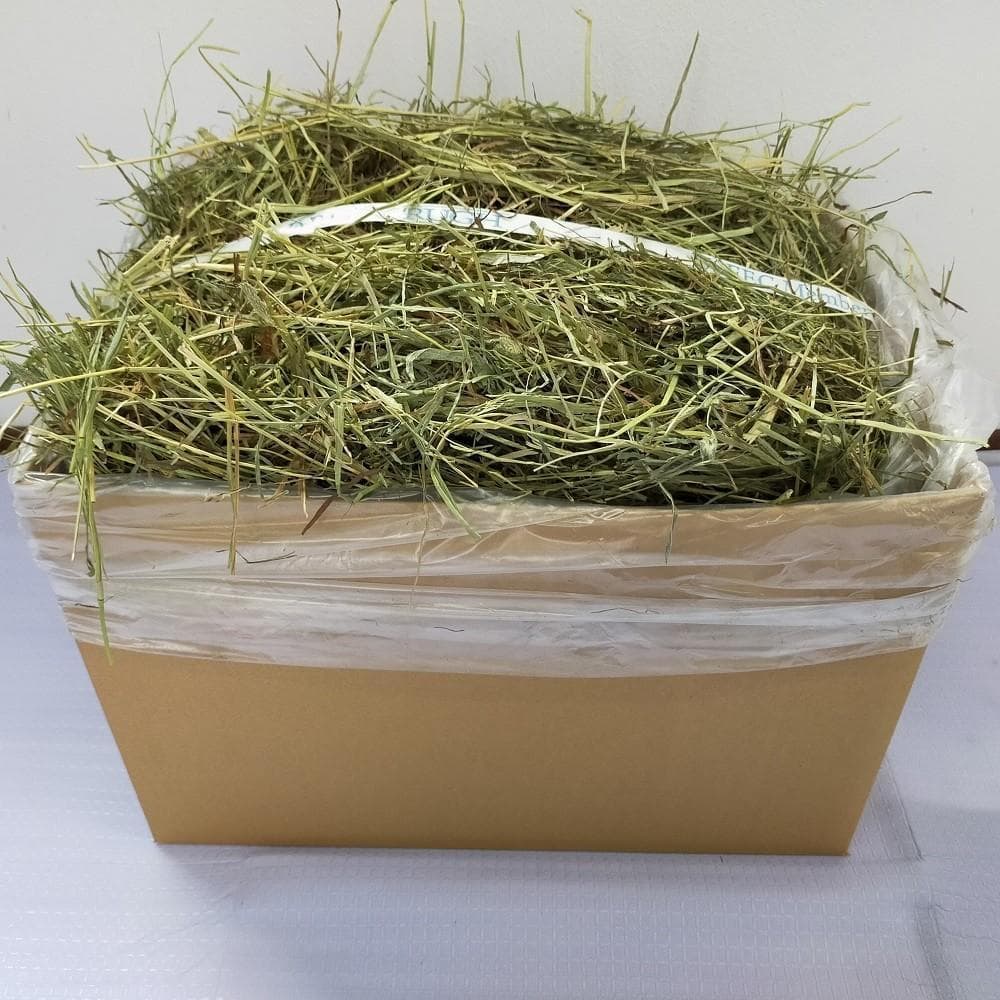 【3/16まで】US産 チモシー 100kg ２番刈り ソフトSプレミアム
