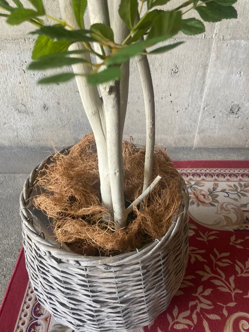光触媒　人工観葉植物　ウォールグリーン　フェイクグリーン　トネリコ17075aj