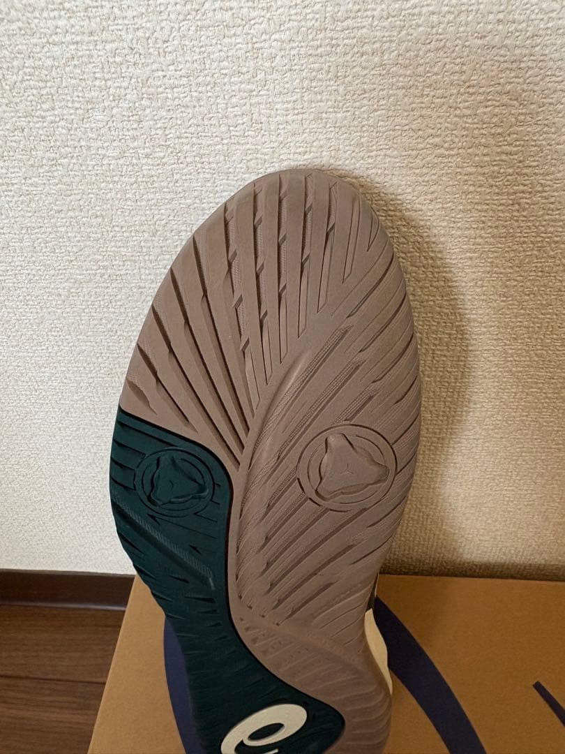 アシックスゲルレゾリューションX 27cm　オールコート