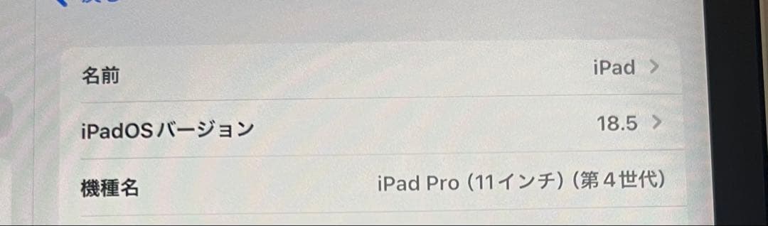 Apple iPad Pro 11インチ 本体 + Apple Pencil