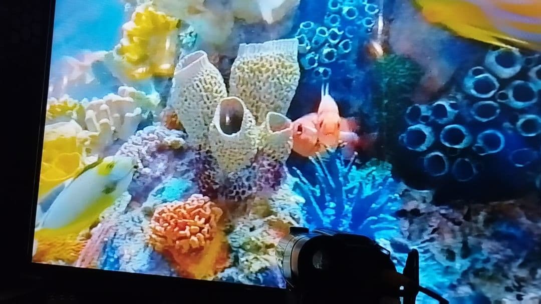 ソニー 8ミリビデオカメラ　Hi8対応 CCD-TR2　ダビング最適◎