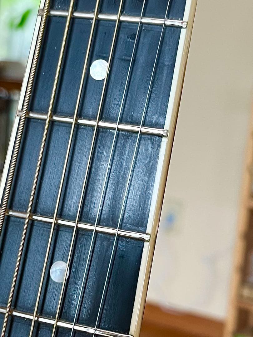 フルアコ Loar LH-700