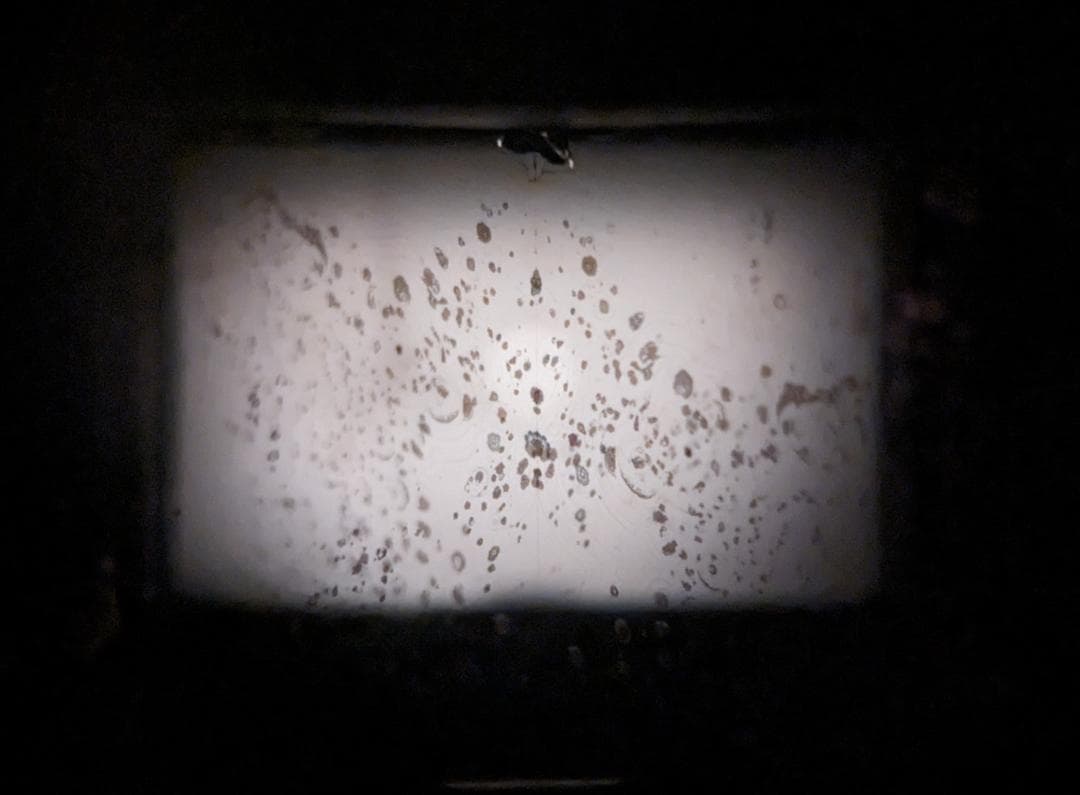 フィルムカメラ TOPCON R Auto-Topcor 1:1.8 5.8cm #234c