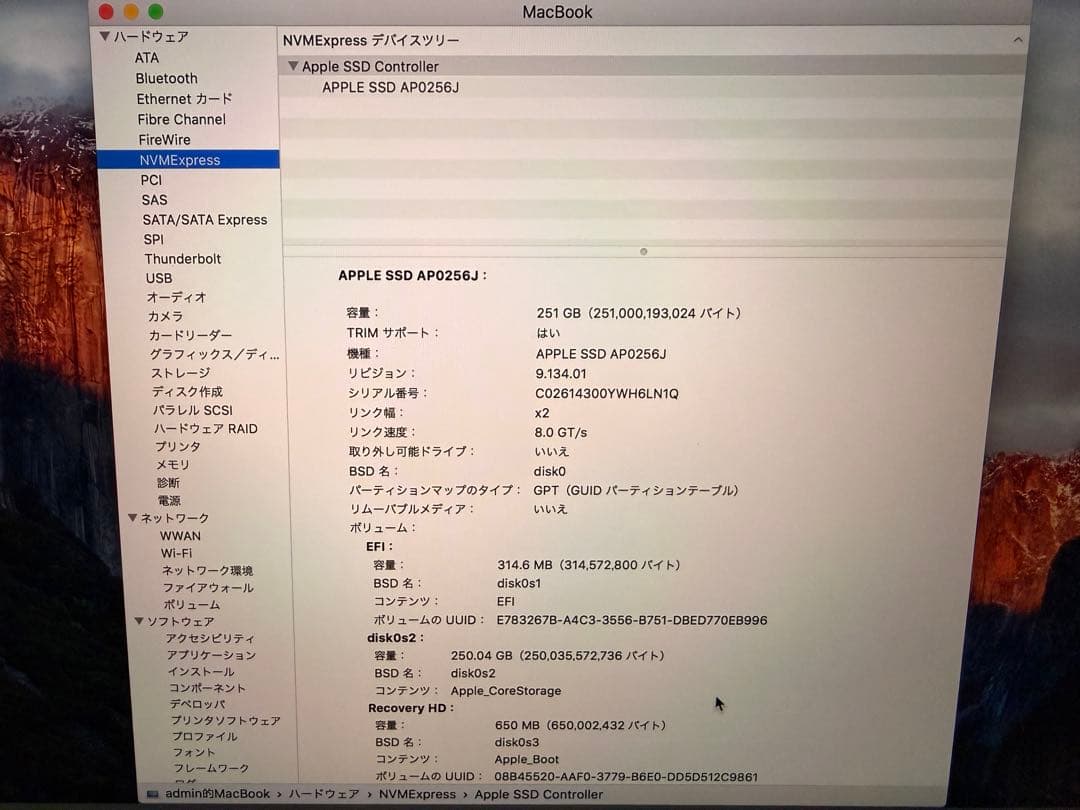 Apple MacBook本体 ローズゴールド12インチ256GB