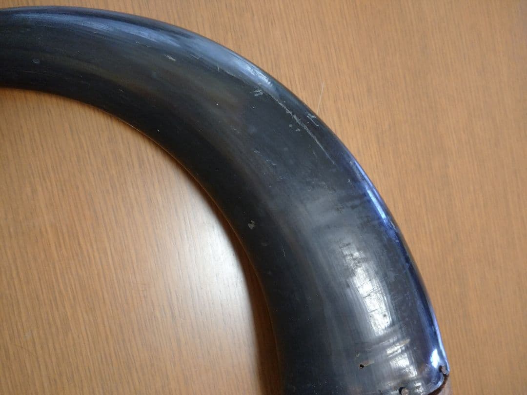 水牛の角