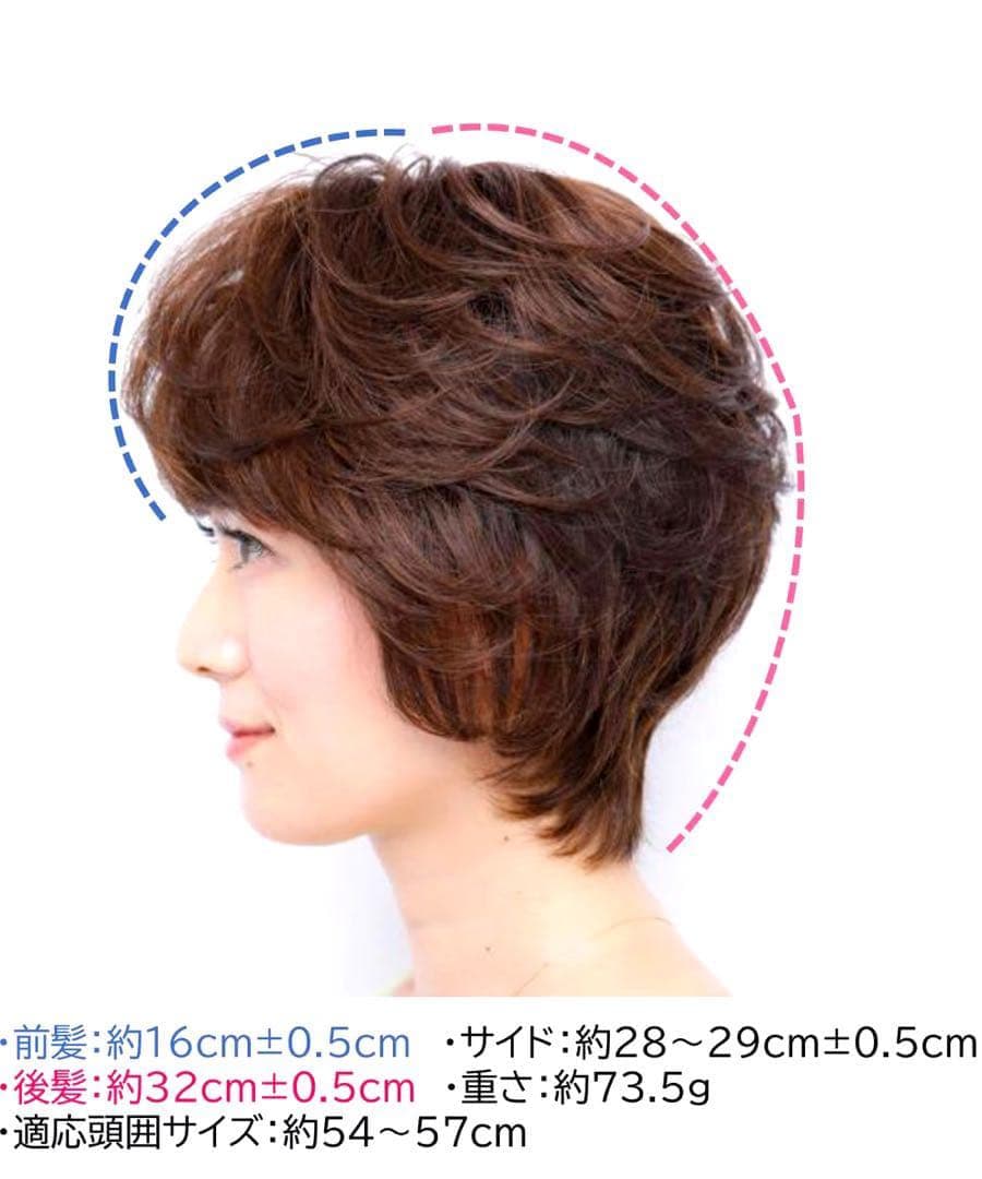 坂巻哲也フルウィッグ　人毛ミックス