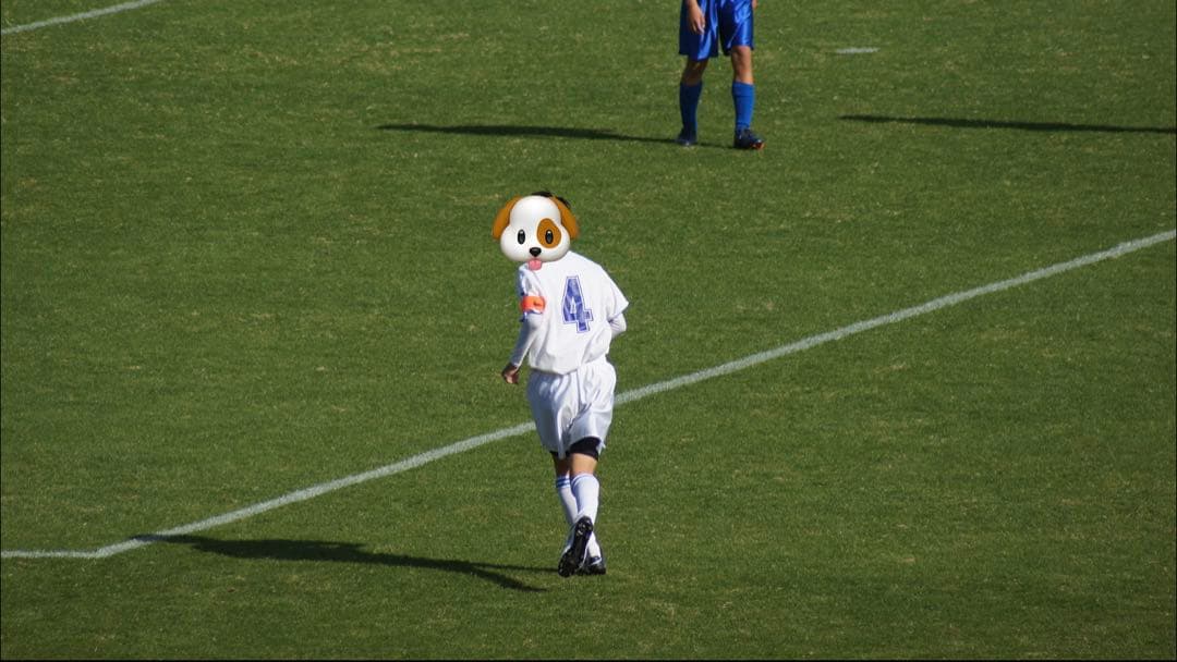 SONY α55 デジタル一眼レフ&ミノルタ300mmレンズセット　小型サイズ