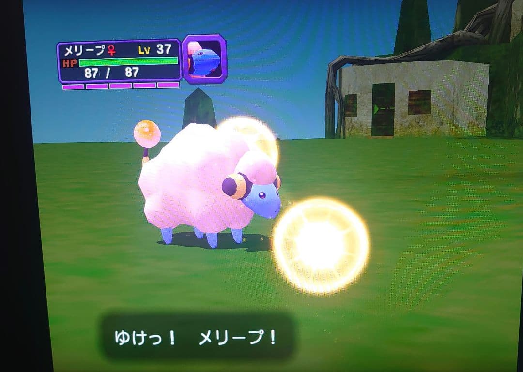 乱数調整　受付用　メモリーカード　ポケモンコロシアム　など