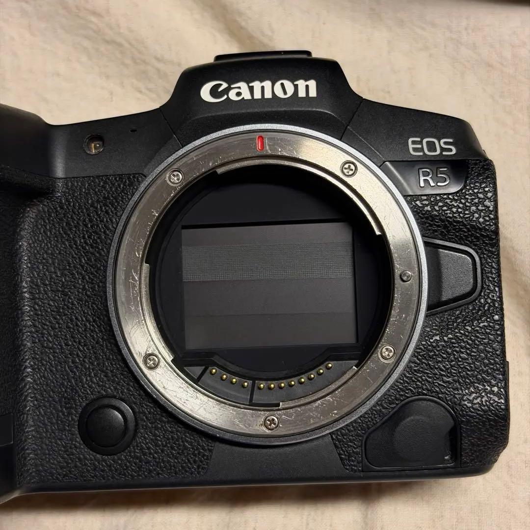 Canon EOS R5 シャッター回数1万回台