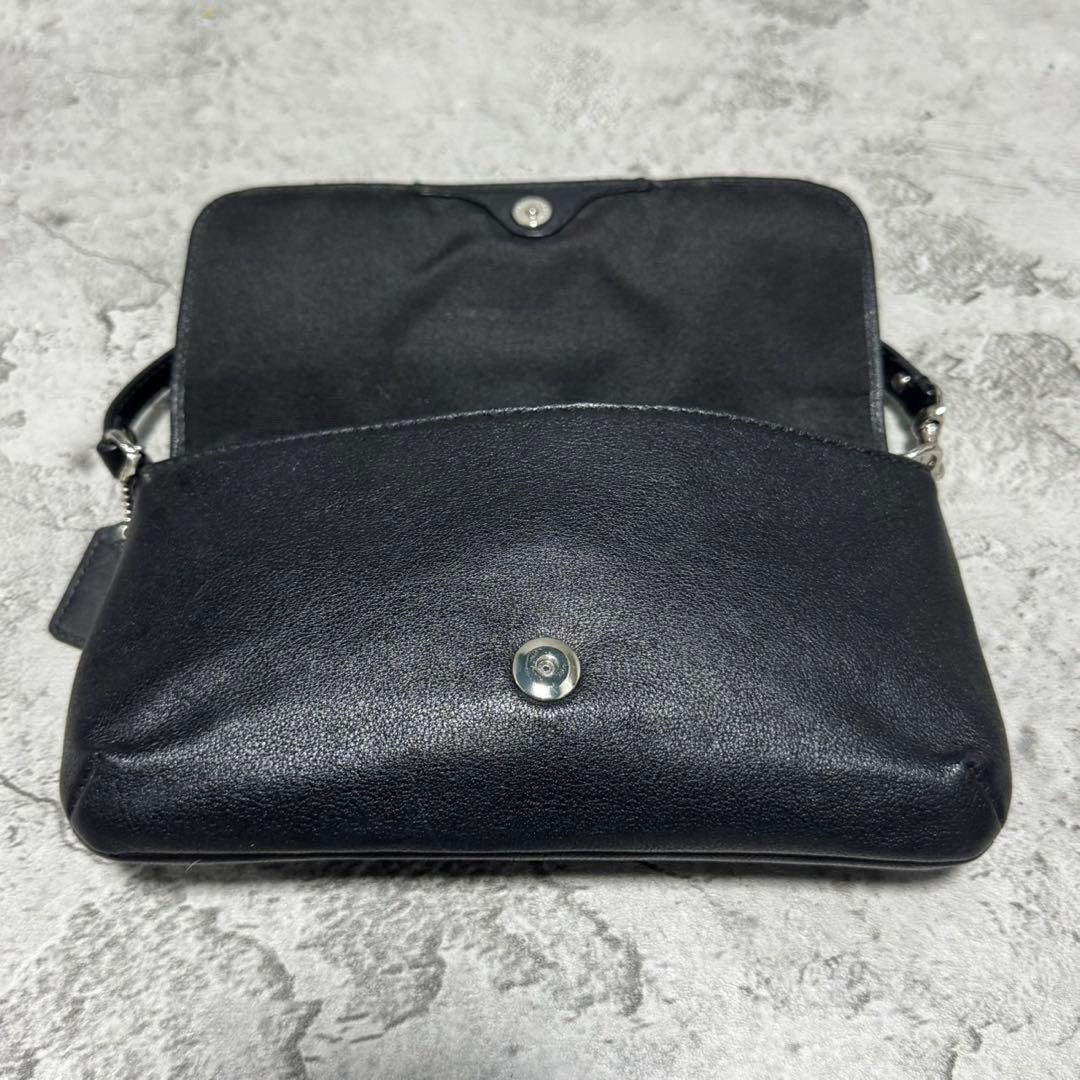 バッグ Coach Y2K Poppy Leather Accessory Pouch