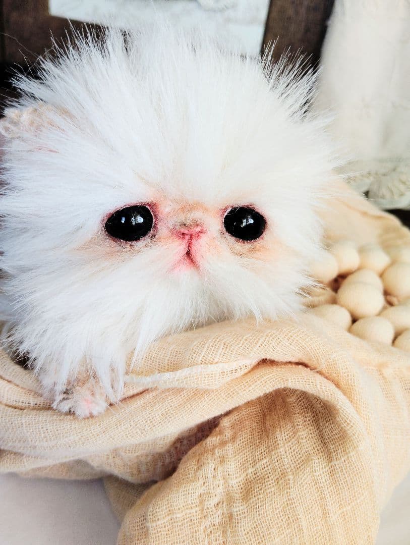 お腹ぽっこり♡フォックスタッチ♡子猫のリリーちゃん♡アートドール♡ぬいぐるみ♡