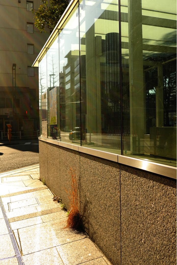 Leica X1 ライカ APS-C 名機｜動作確認済｜状態良好・現状品