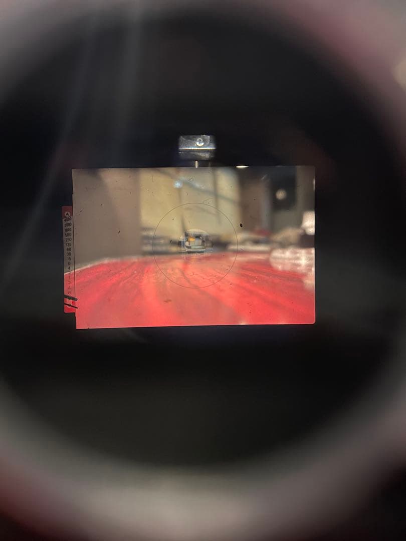 Nikon FE2（シルバー×ブラック）+ NIKKOR AI 28mm F2