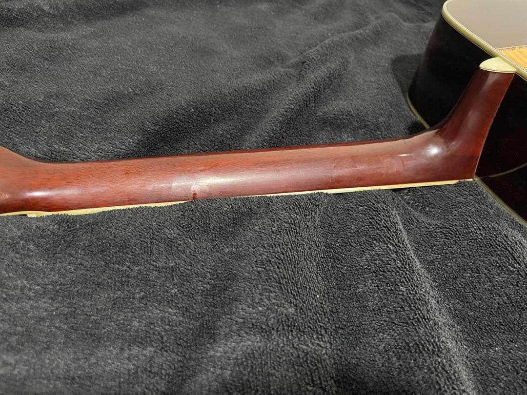 Morris B-50 縦ロゴ ハカランダ 12弦アコースティックギター