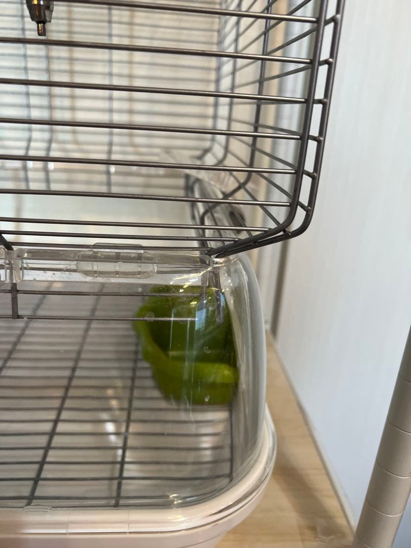 鳥かご 鳥籠　透明アクリル　Hagen