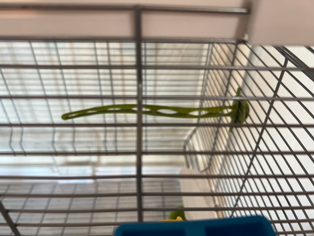 鳥かご 鳥籠　透明アクリル　Hagen