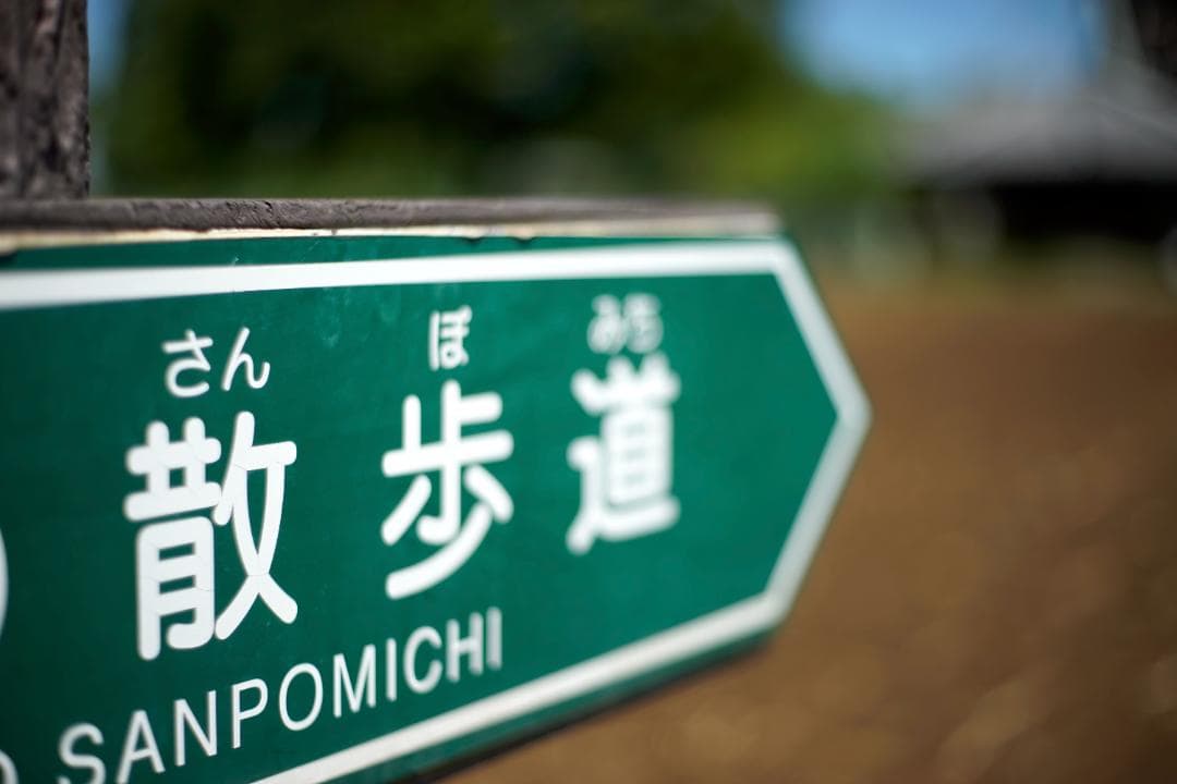 RICOH XR RIKENON 50mm L f2 とてもきれい 分解整備済