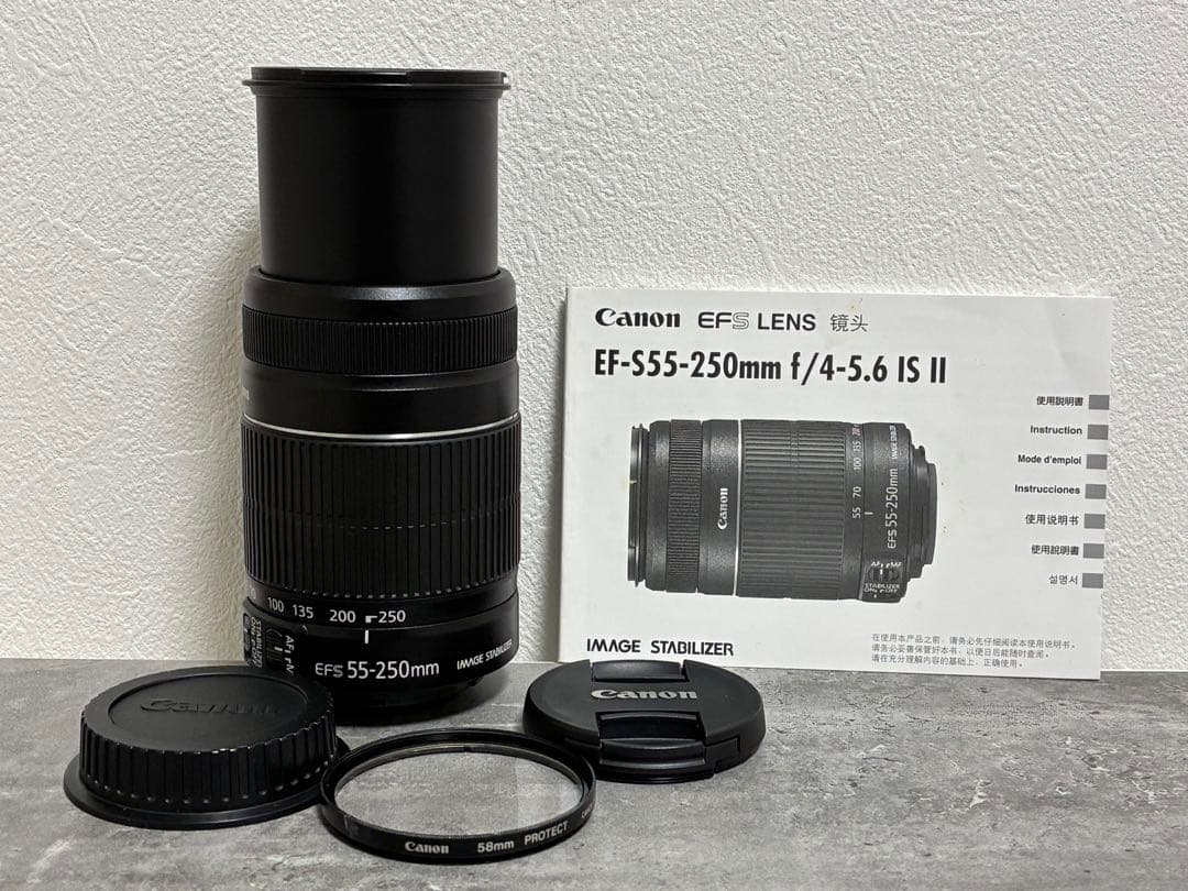 ⭐️美品⭐️キャノン Canon EF-S 55-250mm IS II 望遠レンズ