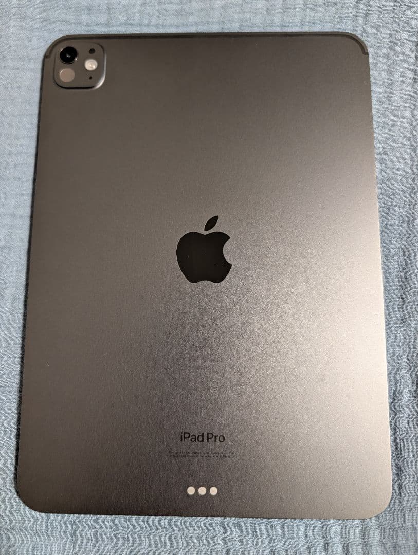 【バッテリー100%】iPad Pro M4 256GB スペースブラック